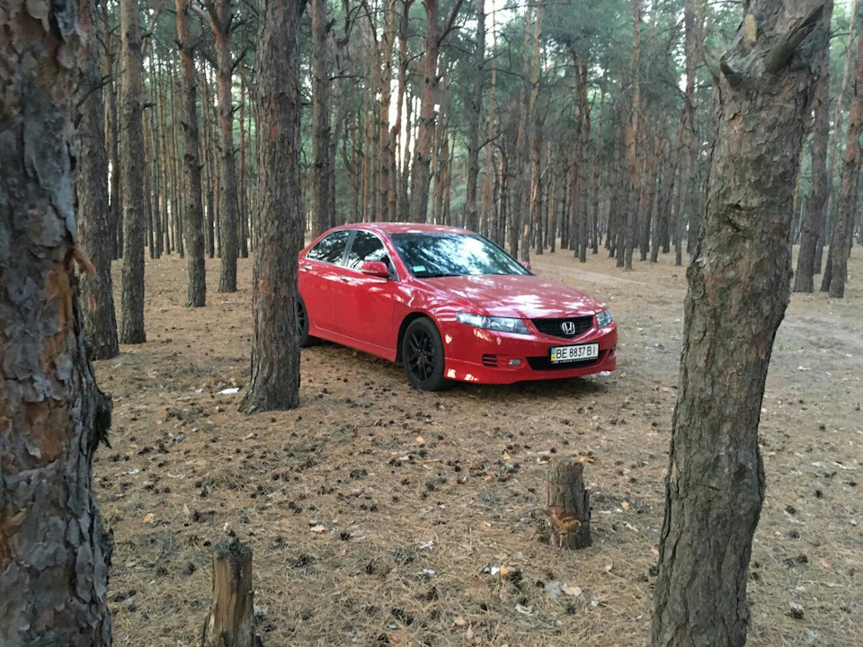 Хто до лісу хто по дрова) 1