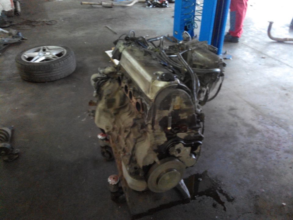 СВАП на H23A DOHC VTEC 1