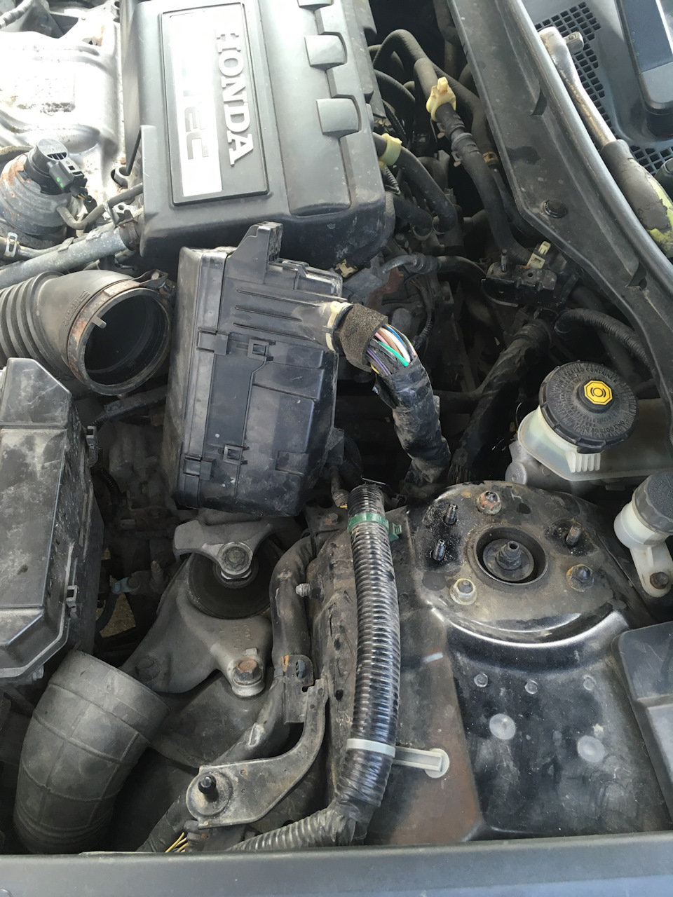 Заміна паливного фільтра Honda Accord diesel I-DTEC 2