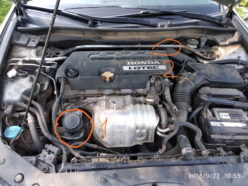 Заміна паливного фільтра Honda Accord diesel I-DTEC 1