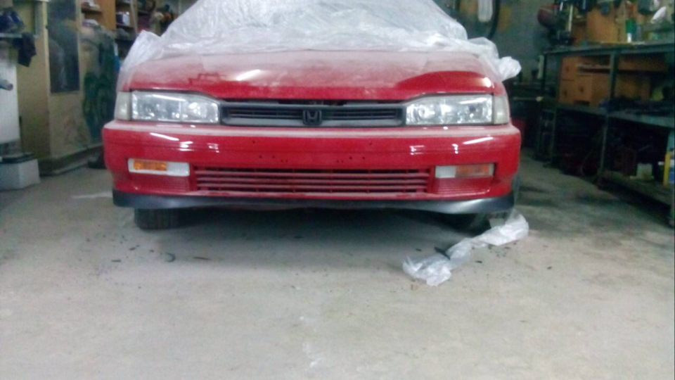 Нижня губа 1