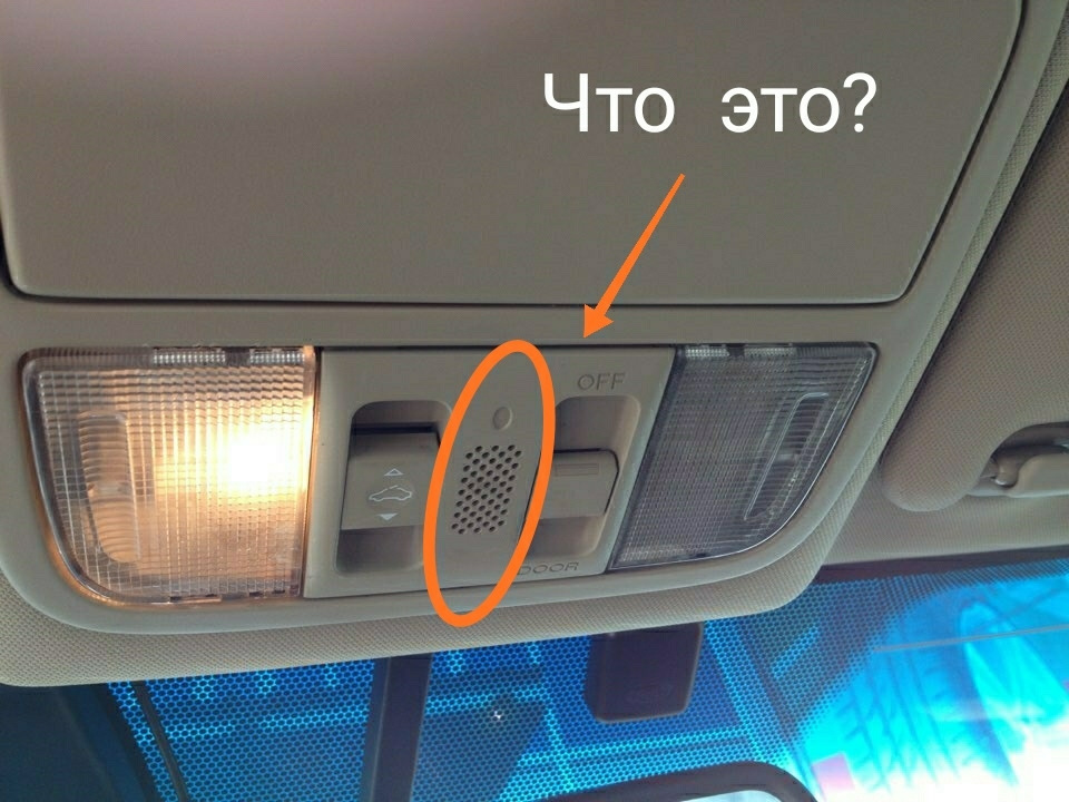 Що це? 1