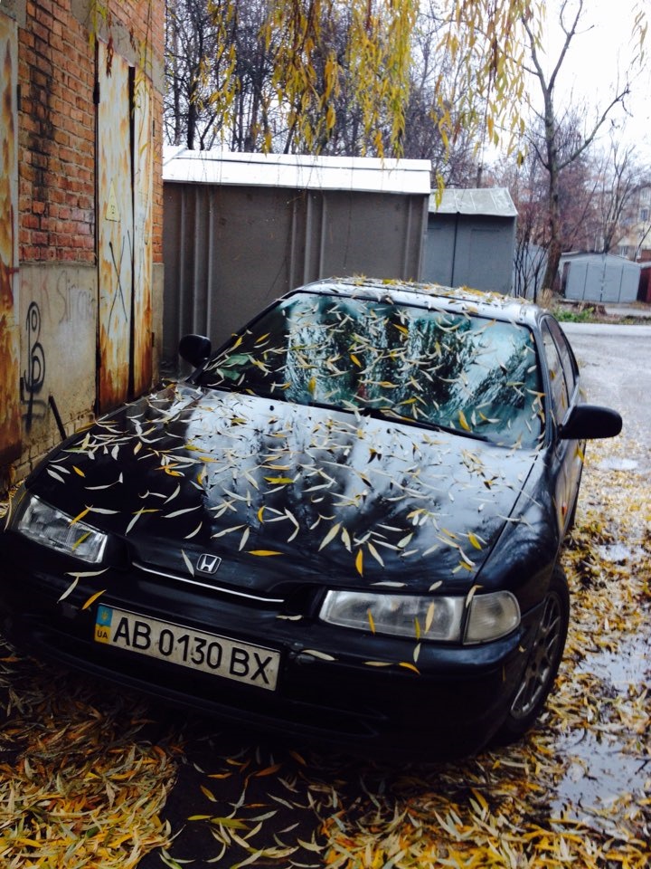 Давній пост))) осінь 2015 4