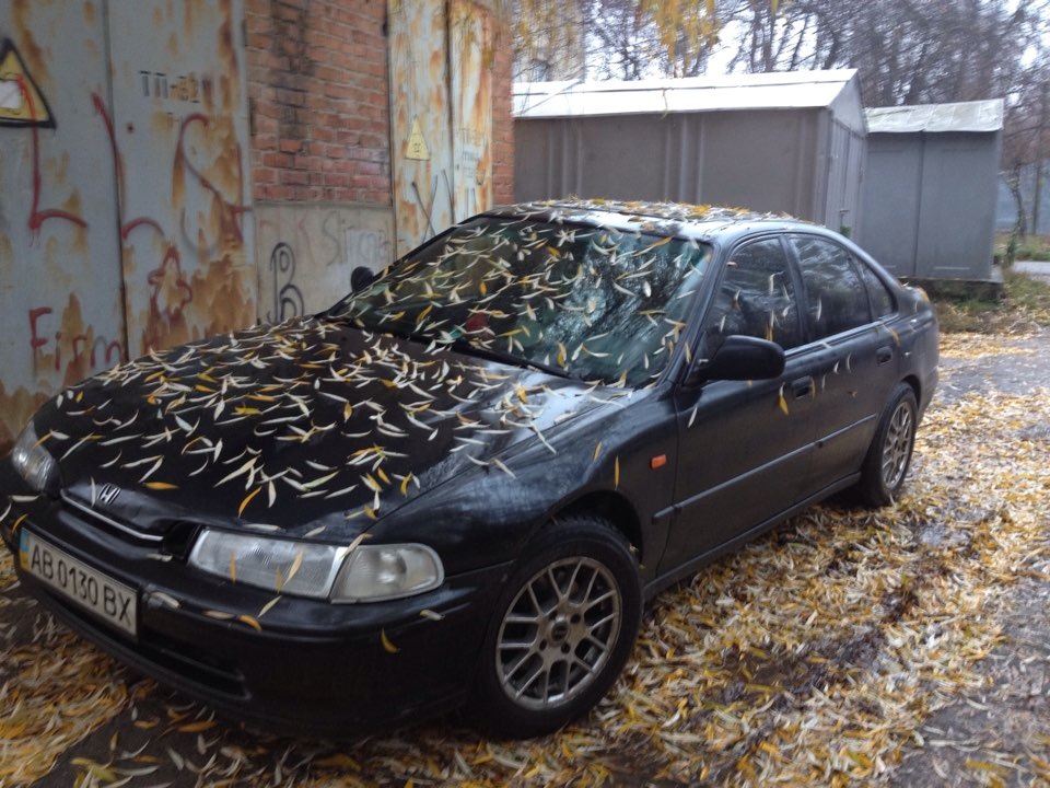 Давній пост))) осінь 2015 3