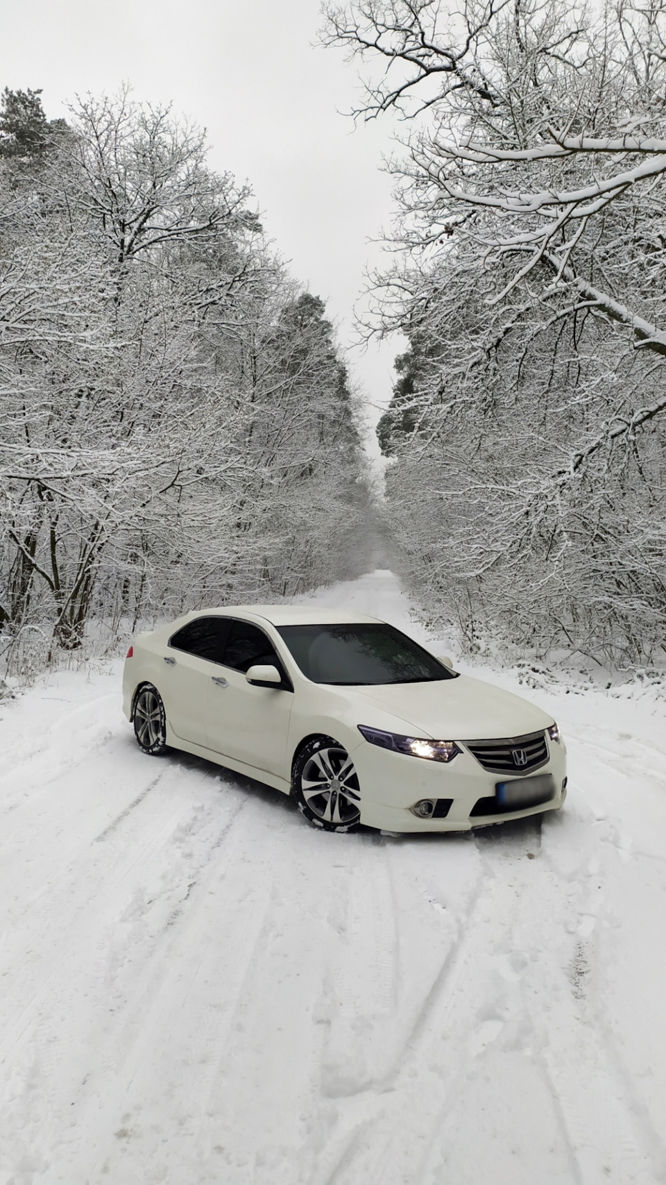 Зимовий вигляд❄️☃️ 1