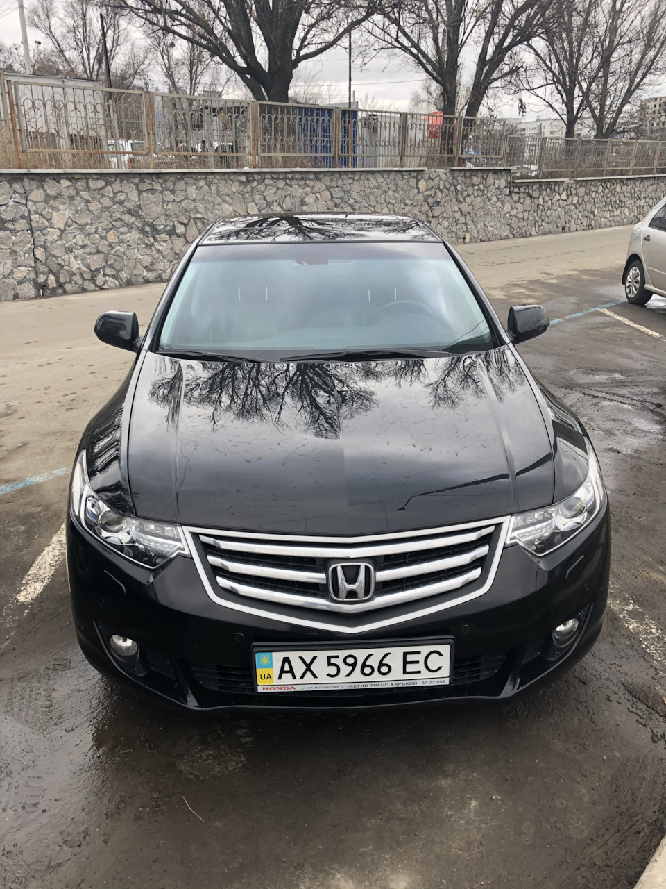 Поки бібіка 1