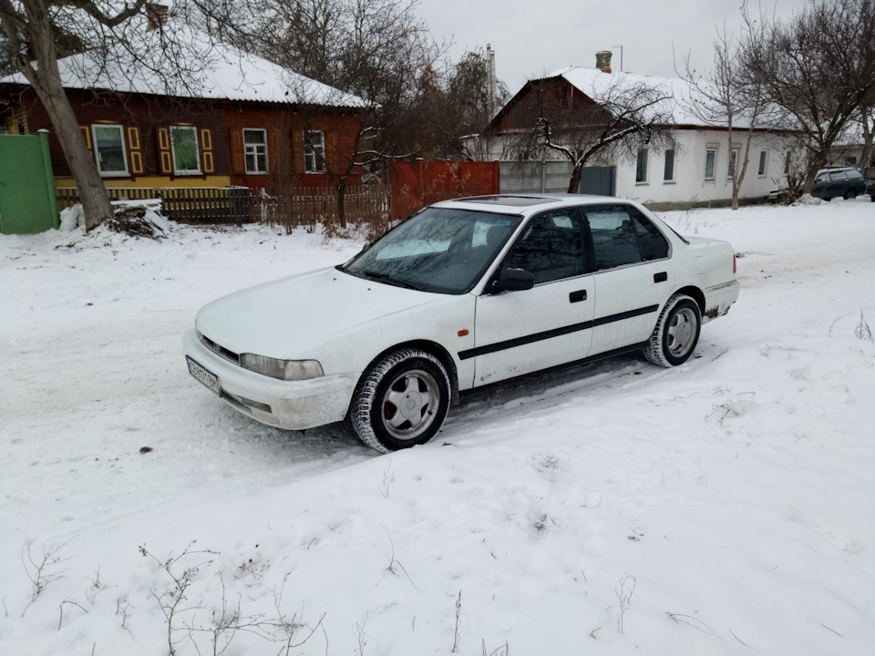 Зимівка 2