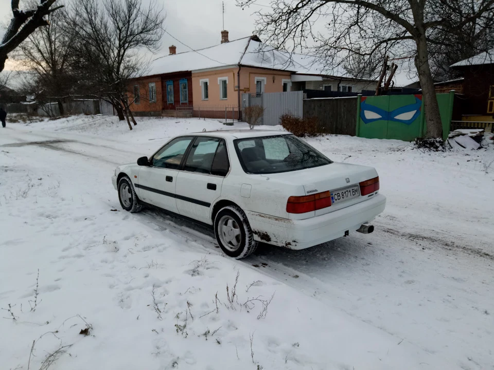 Зимівка