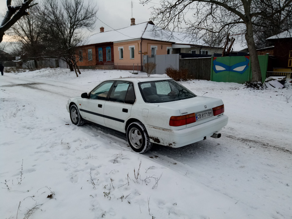 Зимівка 1