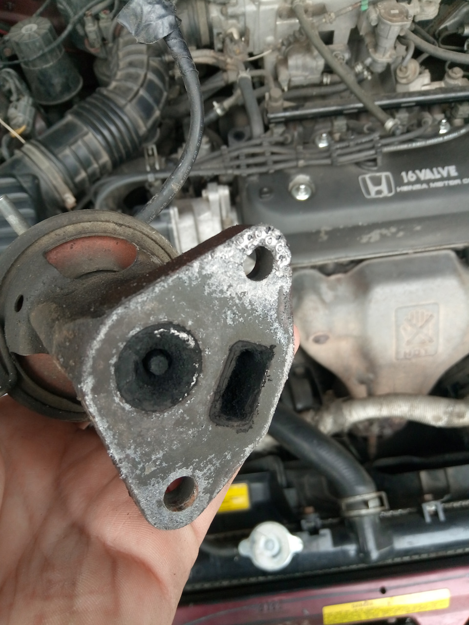 EGR ACCORD CB 1
