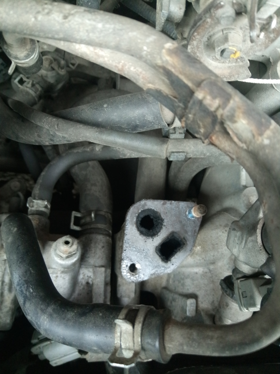 EGR ACCORD CB 2