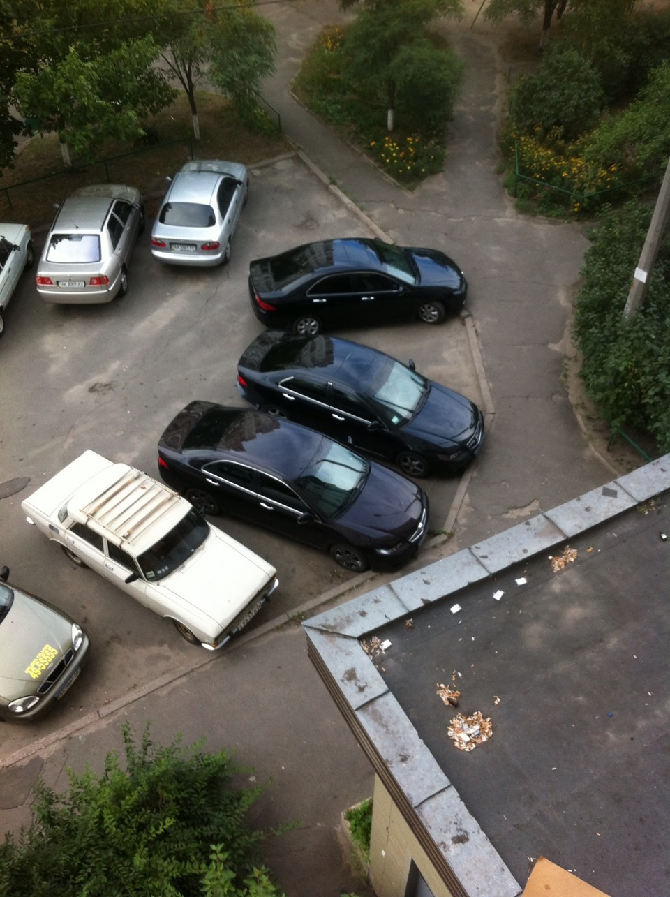 Honda Mafia:) 1