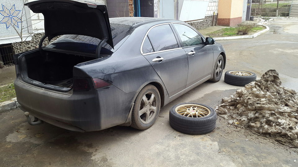 Нові тапочки) 1