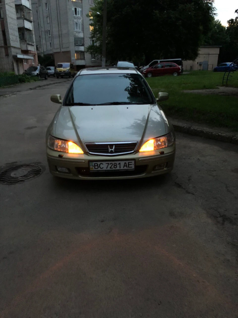 Нові габарити. Змія🐍