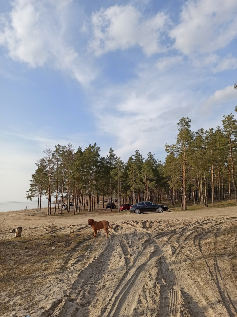 Літні диски Honda 17 та гума Dunlop Sport maxx RT 225/45 5