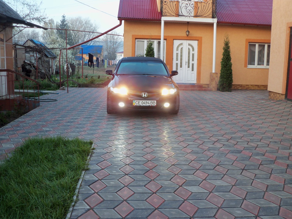 ранкова хондочка)) 3