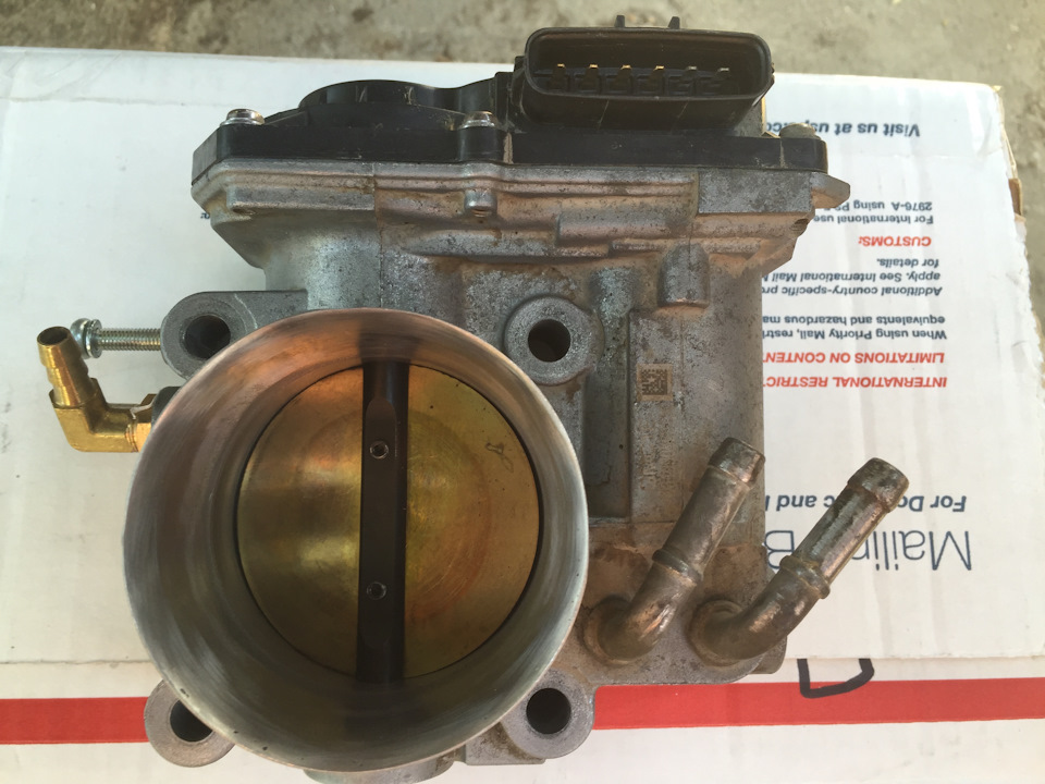 RSP+TL 3