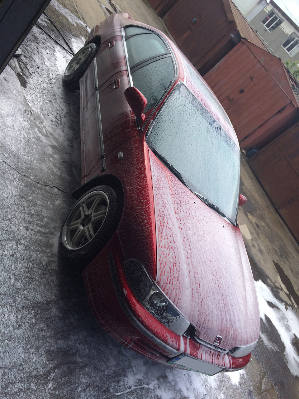 Valencia Red Pearl R556P або сфотографуй якщо вийде 4
