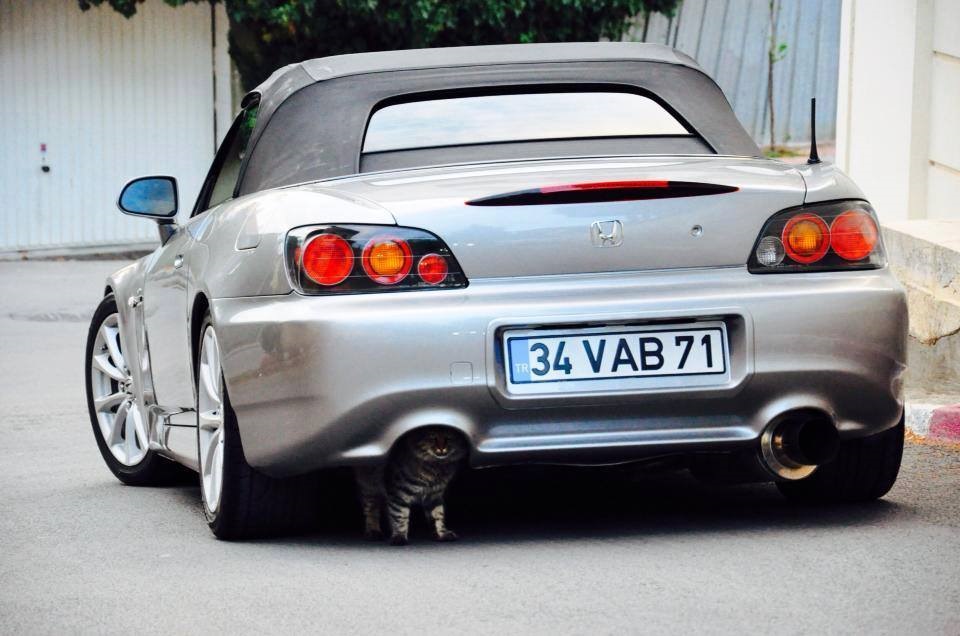 CatBack Exhaust))))) 1