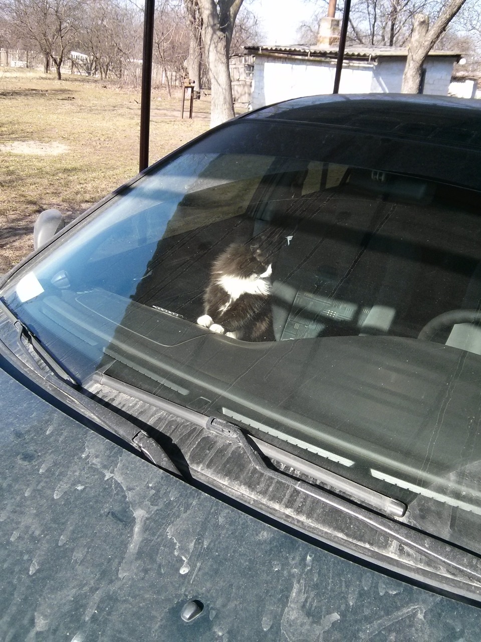 Коте-Механік))) 2