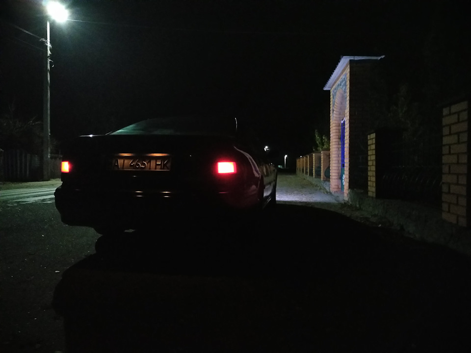 Як завжди дощ після миття та парочка свіжих фото 5