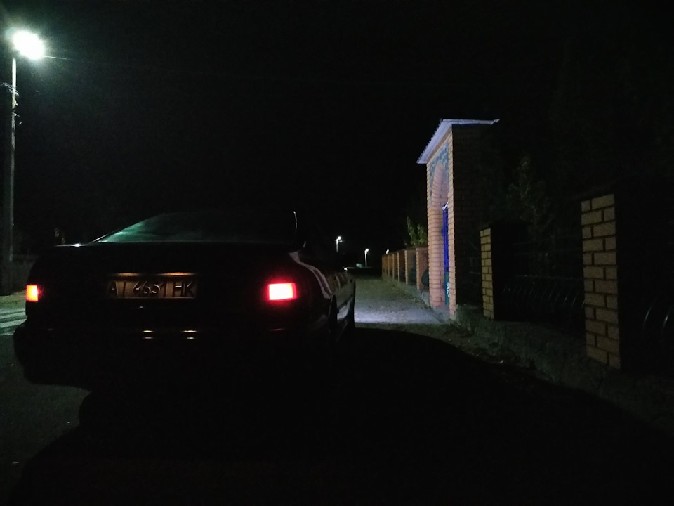 Як завжди дощ після миття та парочка свіжих фото 3