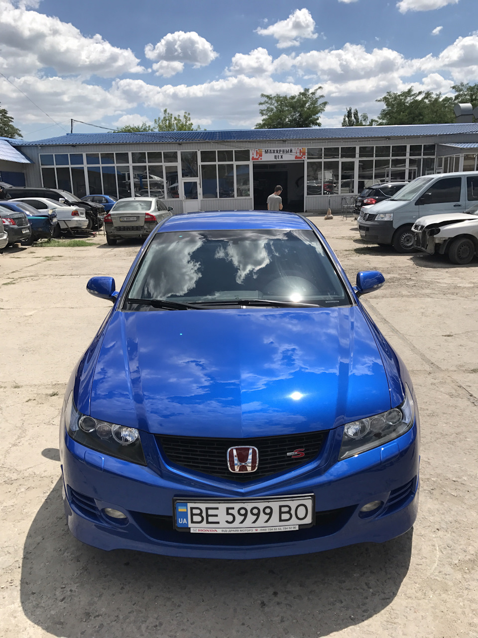 Синько готова 2