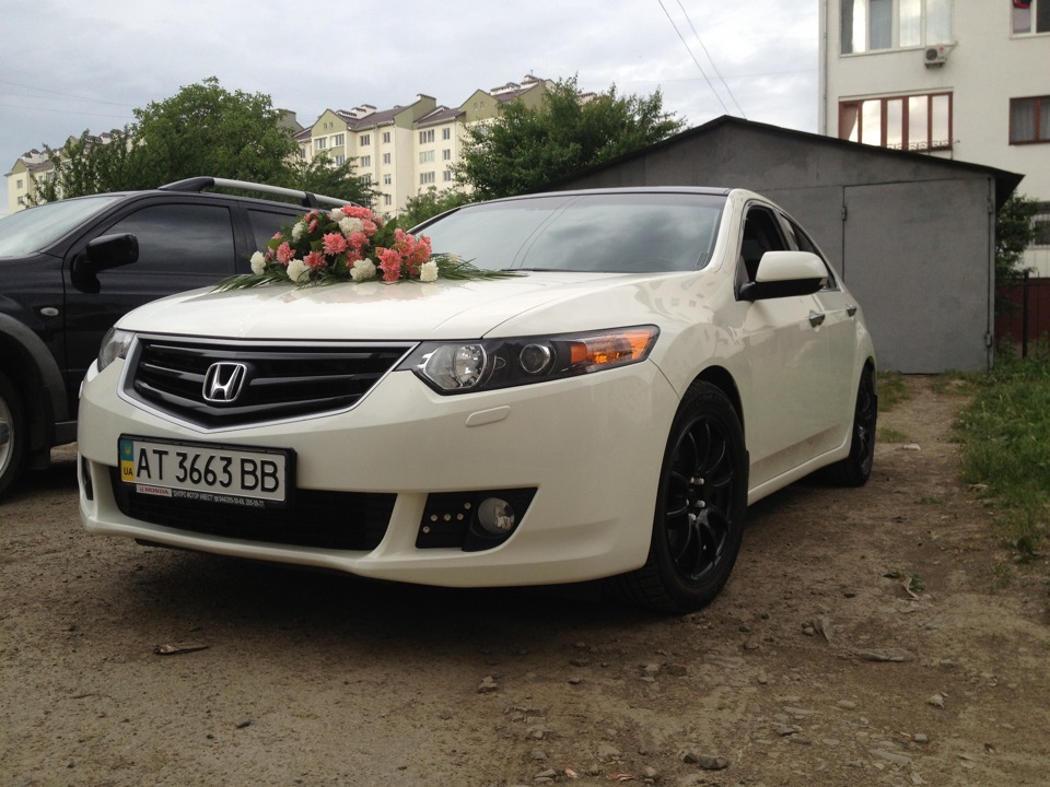 Кілька фотографій 3