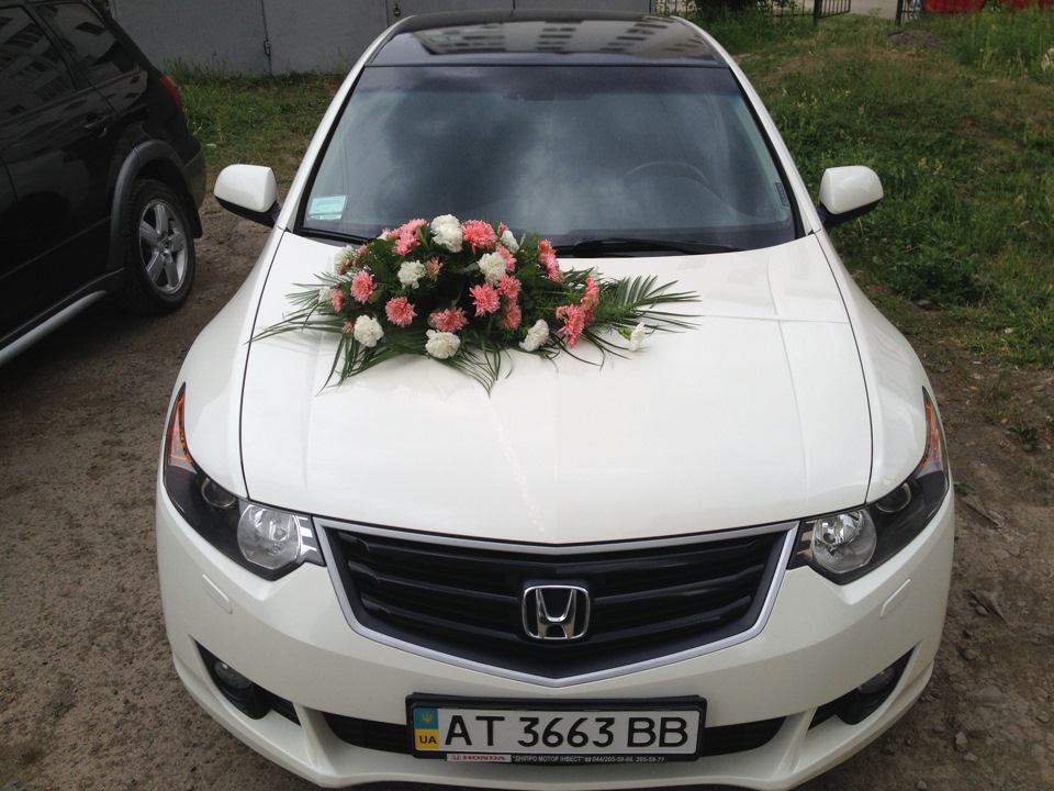 Кілька фотографій 5