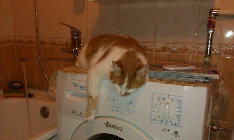 ТЕМА КОТЄ))) 2