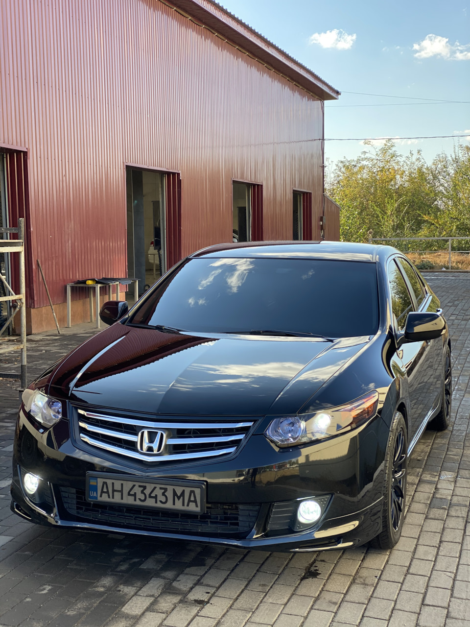 Сітка) 1