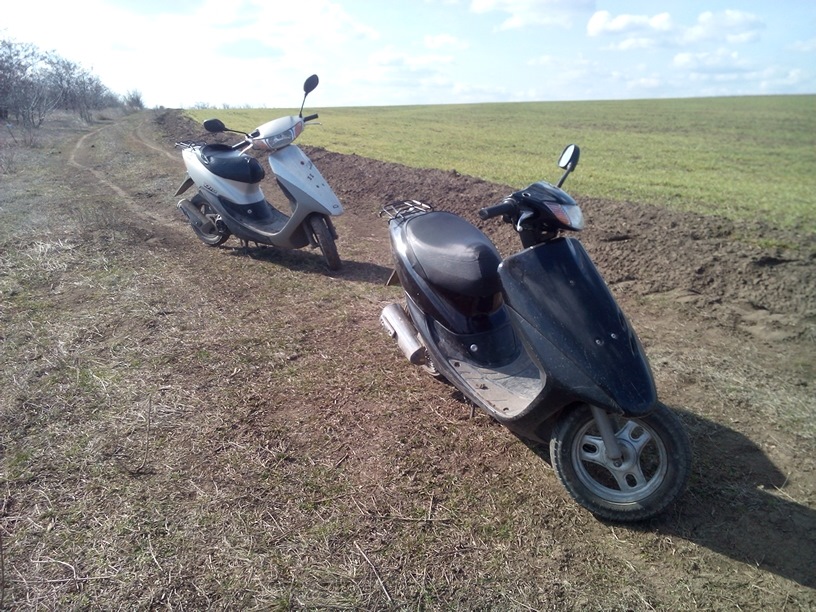 Покотушки на молодших сестрах звіра:-P 1