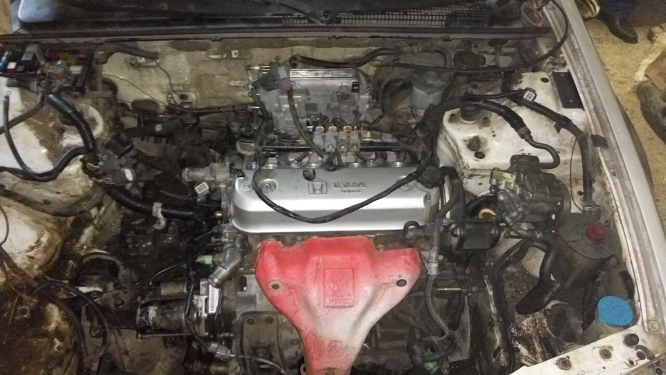 СВап F20A4 (1 день) 3