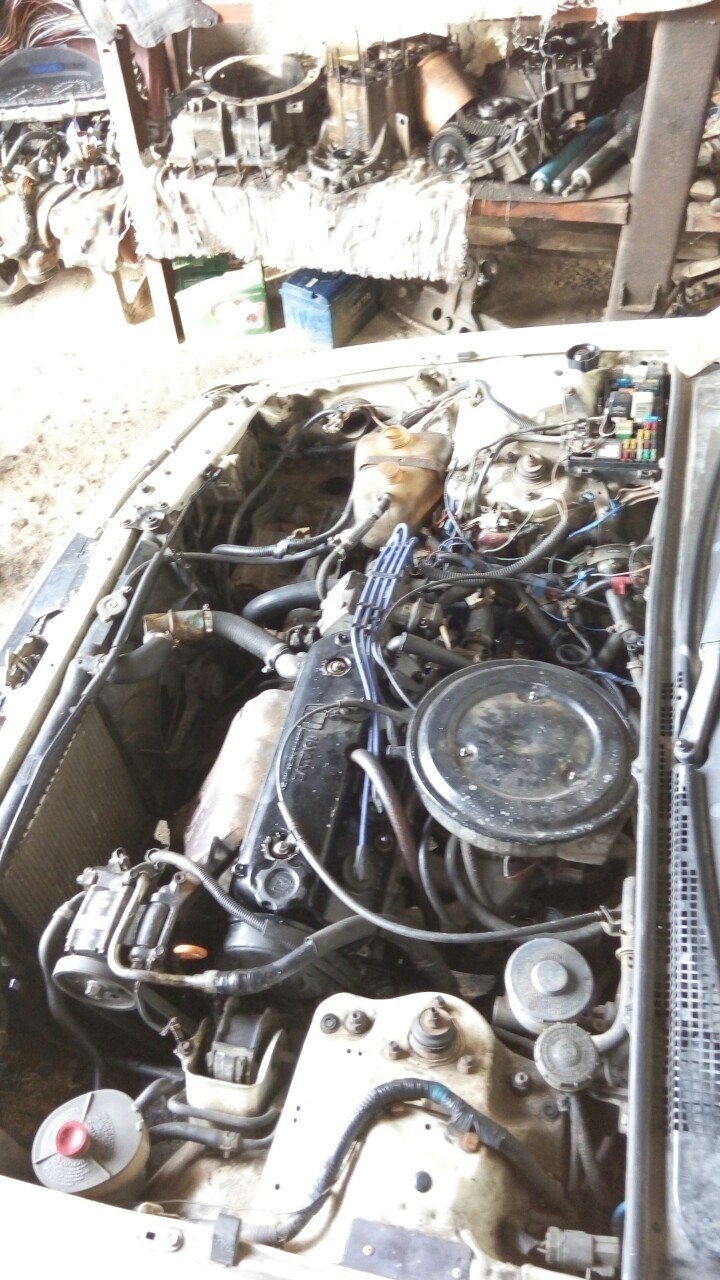СВап F20A4 (1 день) 1