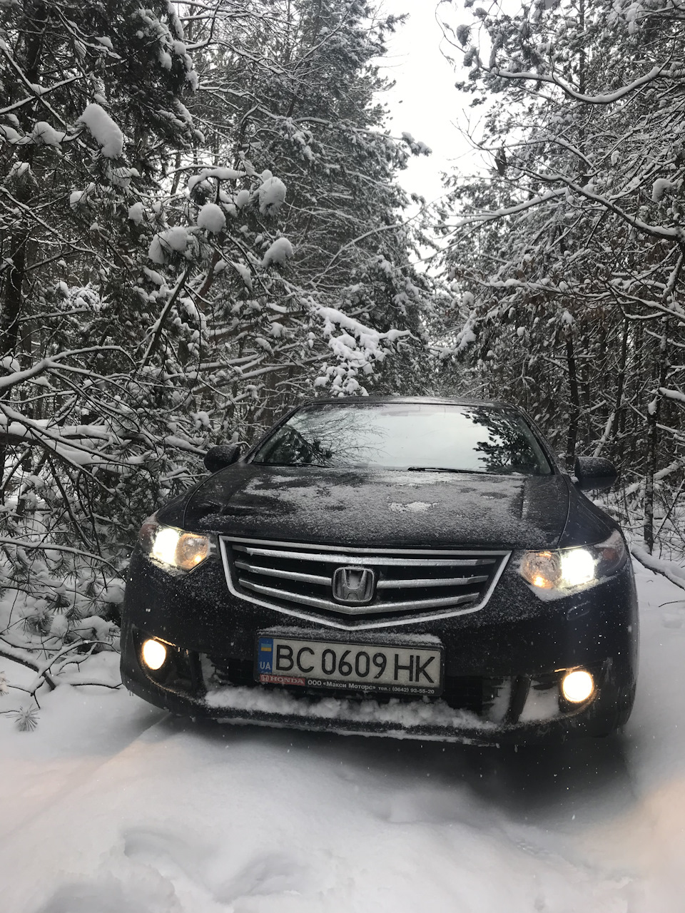 Виїхали в сніговий ліс 2