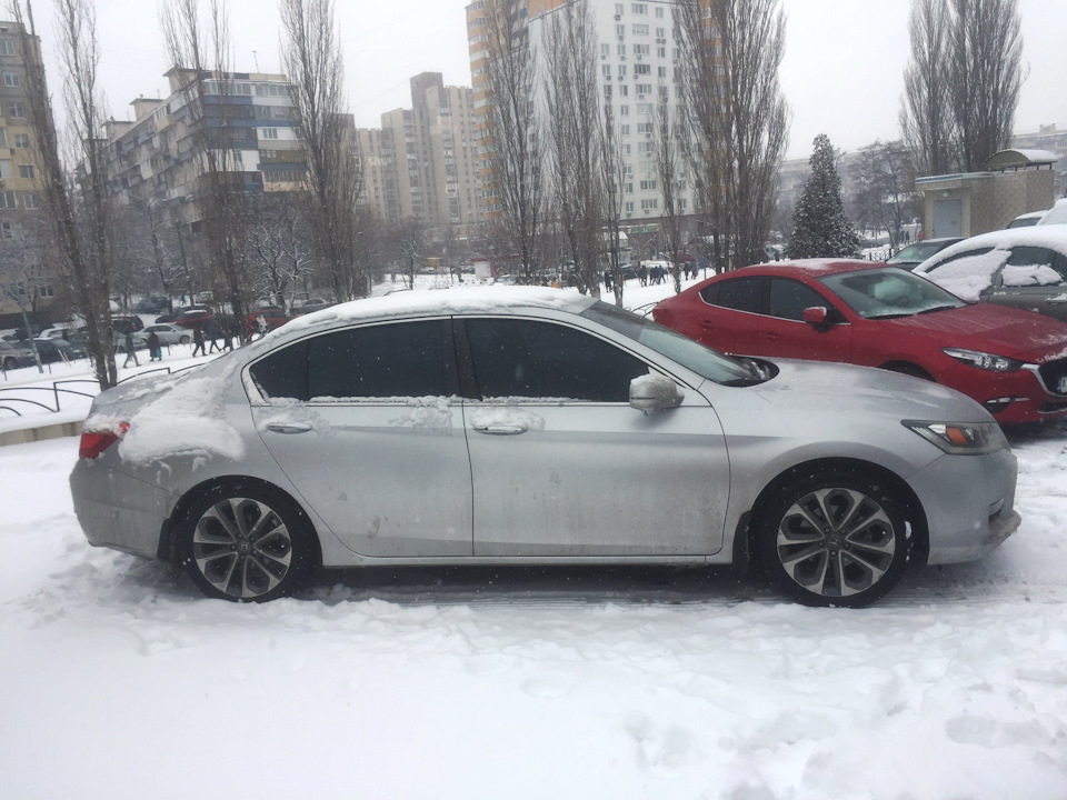 Демисезонка 1