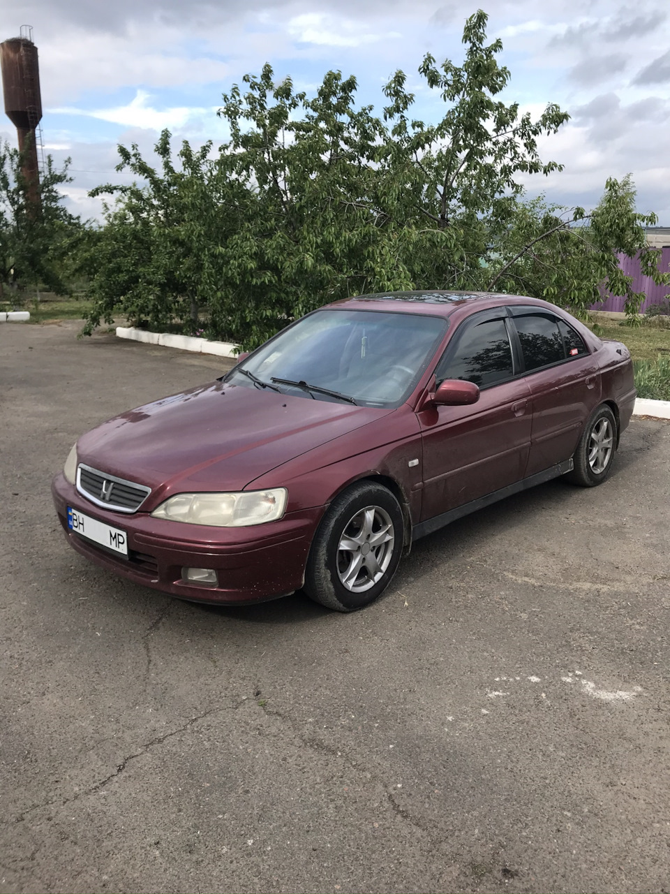 Ось і все. Вишенька поїхала. 1