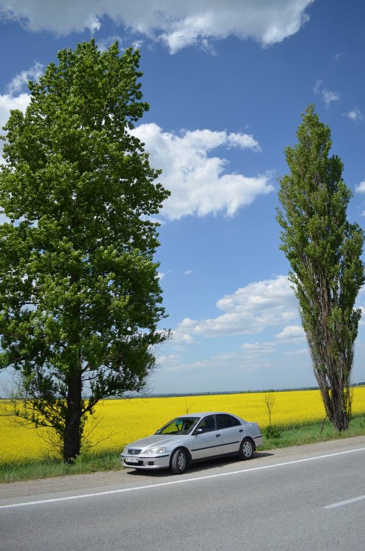 А у нас тим часом свіжі фото... 1