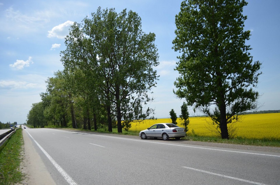 А у нас тим часом свіжі фото... 3