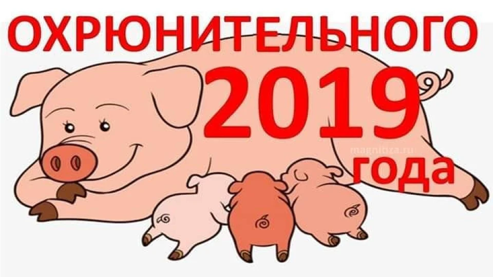 З 2019 Новим Роком!