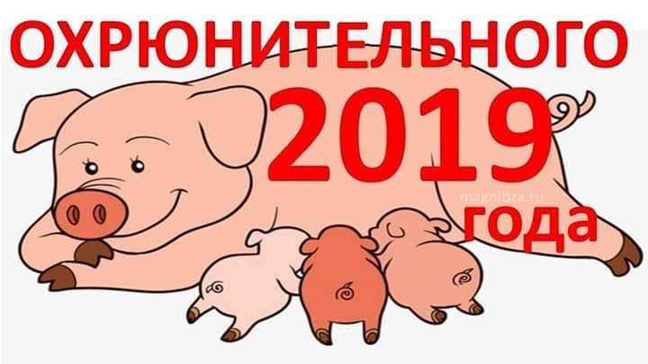 З 2019 Новим Роком! 1