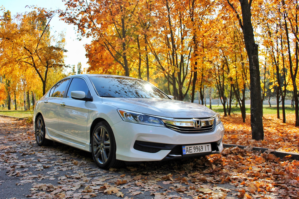 Осінній фотосет та миття авто 2