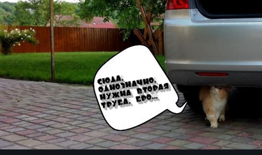 Історія вихлоп (Гумор і КотЕ))) 1