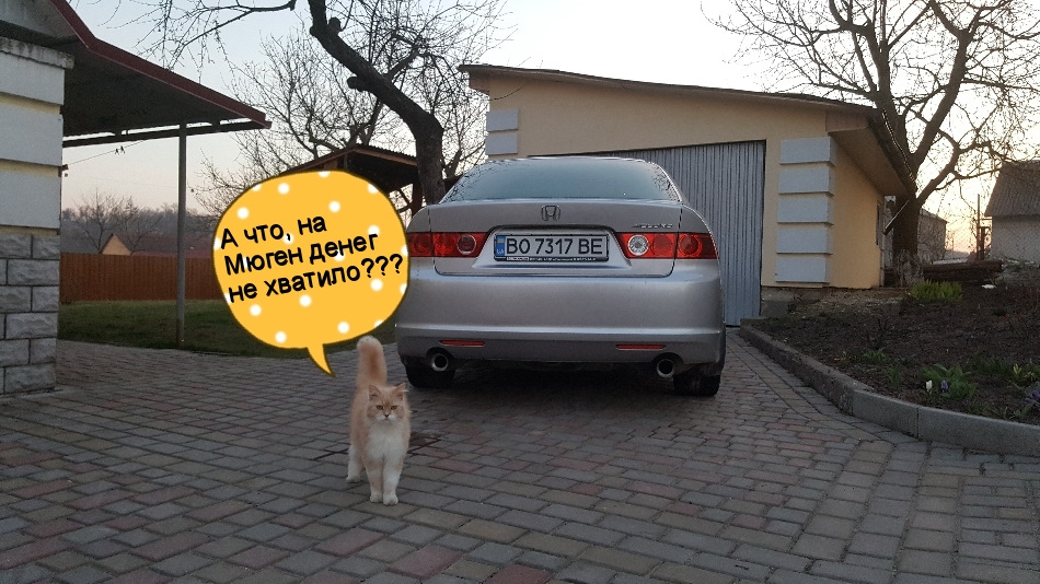 Історія вихлоп (Гумор і КотЕ))) 2