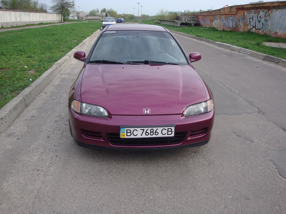 Нові фотки 1