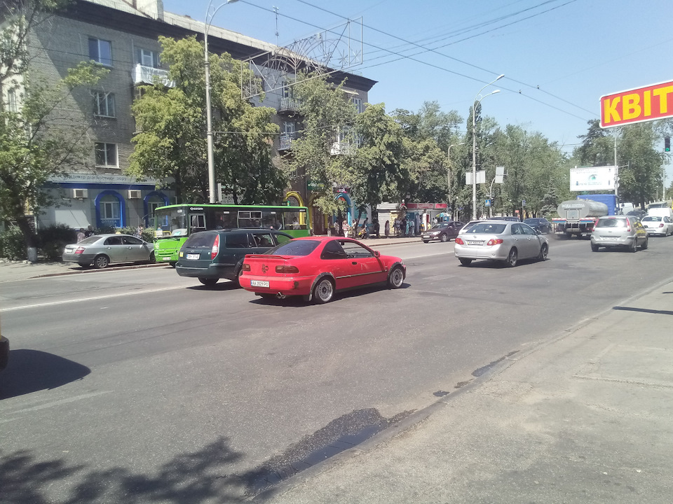 Поїхала рідненька в добрі руки :( 2