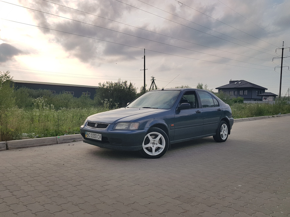 Тапочки 4