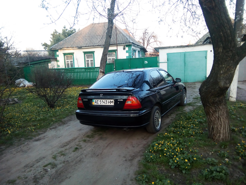 Весняне миття 2