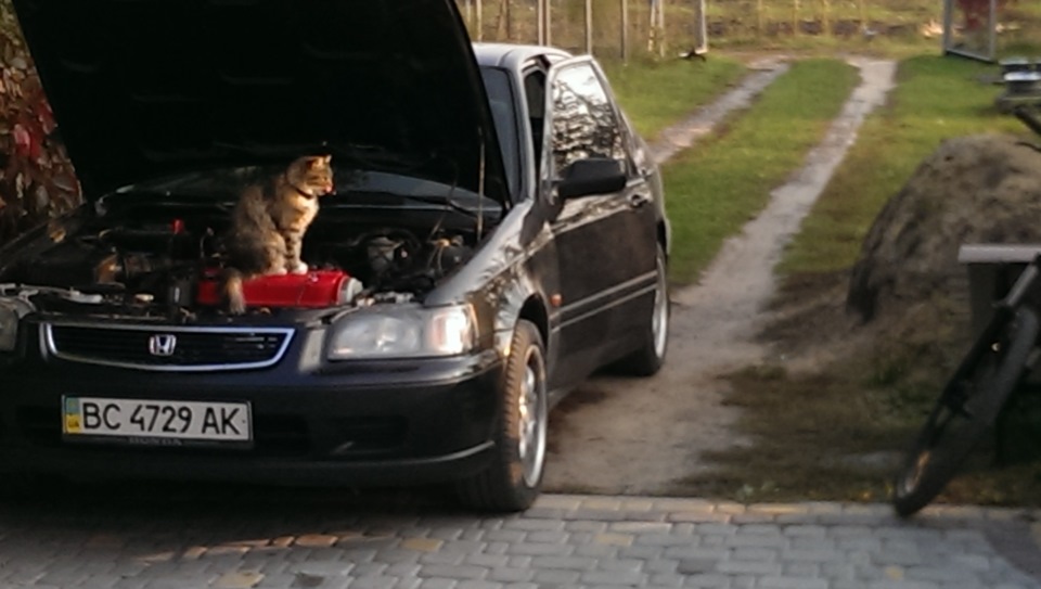+1 котяча сила під капотомммм))) 1