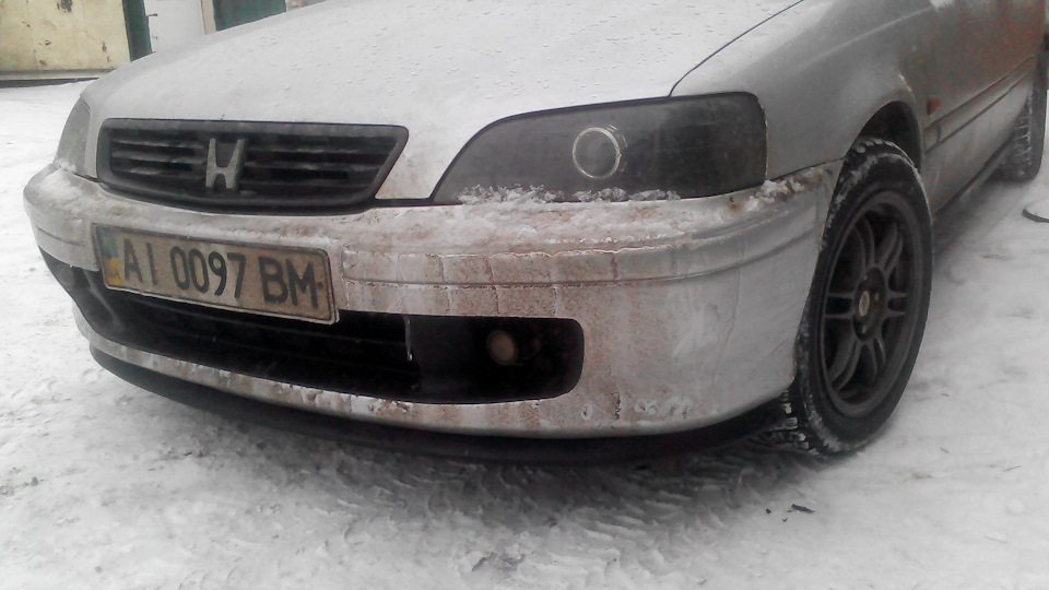 Губа універсальна. 2